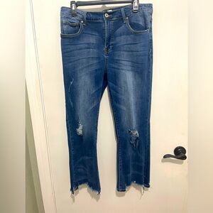 Distressed Blue Women's Special A  Stretch Jeans Sz 1XL